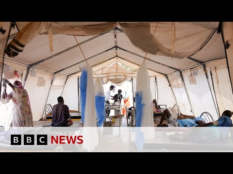 UN to investigate reported mass killings in Sudan _ Global News Podcast Thumbnail