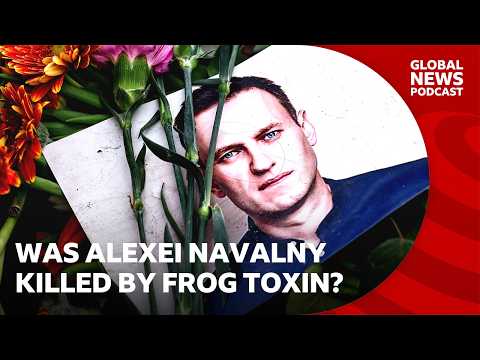 Was Alexei Navalny killed by a dart frog toxin_ _ Global News Podcast Thumbnail