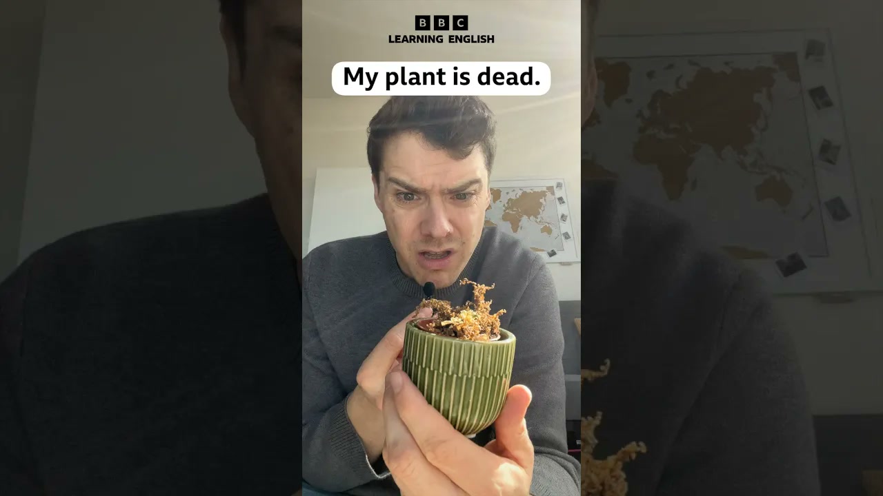 Don’t cry over spilt milk! Learn this English phrase! Thumbnail