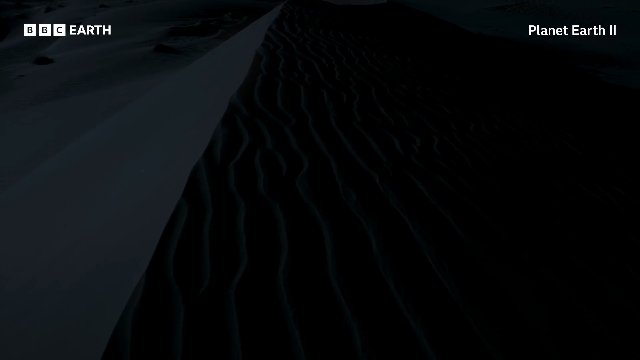The Blind Hunter Beneath The Namib Desert _ 20 Years of Planet Earth II _ BBC Earth Thumbnail