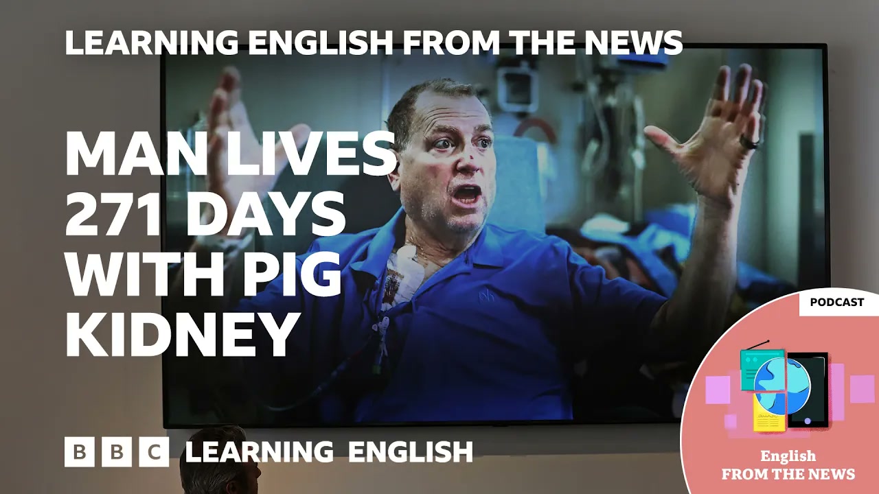 Transplanted pig kidney works inside patient for record nine months _ Learning English from the News Thumbnail