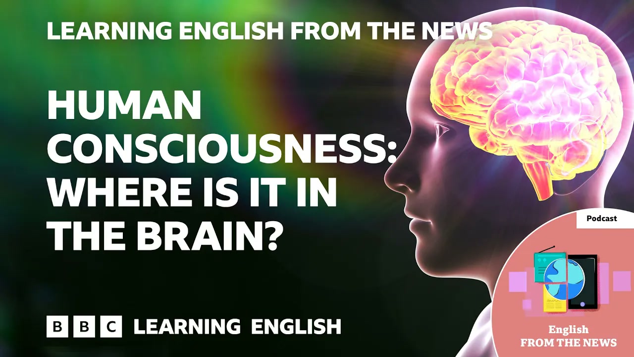 Human consciousness_ Where is it in the brain_ BBC Learning English from the News Thumbnail