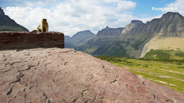 Grizzly Bears Enjoy A Back Scratch! _ 20 Years of Planet Earth II _ BBC Earth Thumbnail