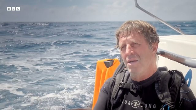 The Fascinating World Of Whales _ BBC Earth Thumbnail