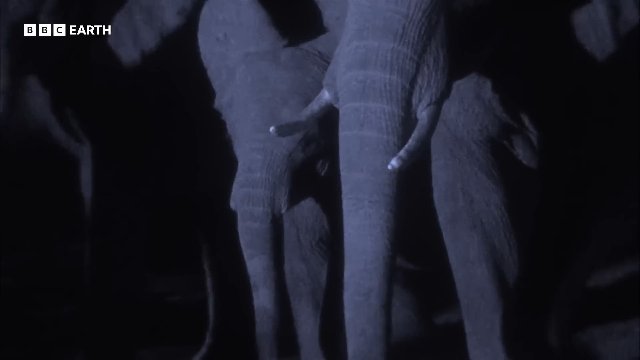 Unbelievable Moments from Planet Earth _ 20 Years of Planet Earth _ BBC Earth Thumbnail